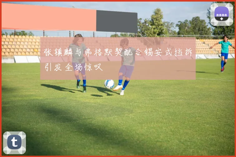 张镇麟与弗格默契配合锡安式挡拆引发全场惊叹
