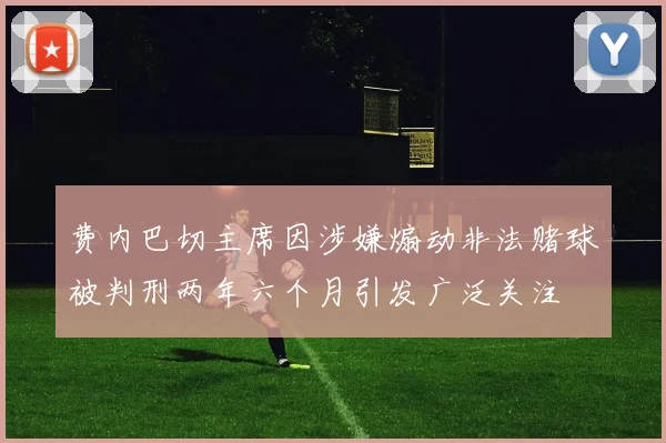 费内巴切主席因涉嫌煽动非法赌球被判刑两年六个月引发广泛关注
